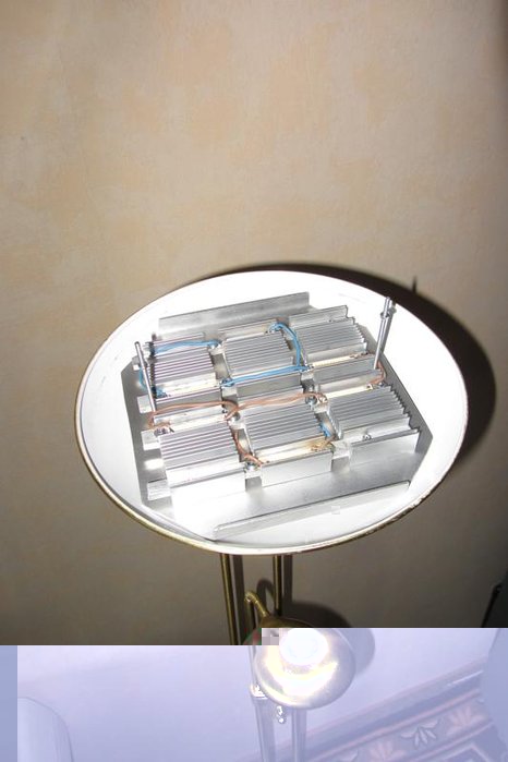 Fluter 002.jpg
